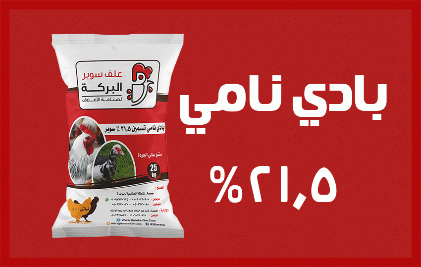 بادي نامي 21.5%